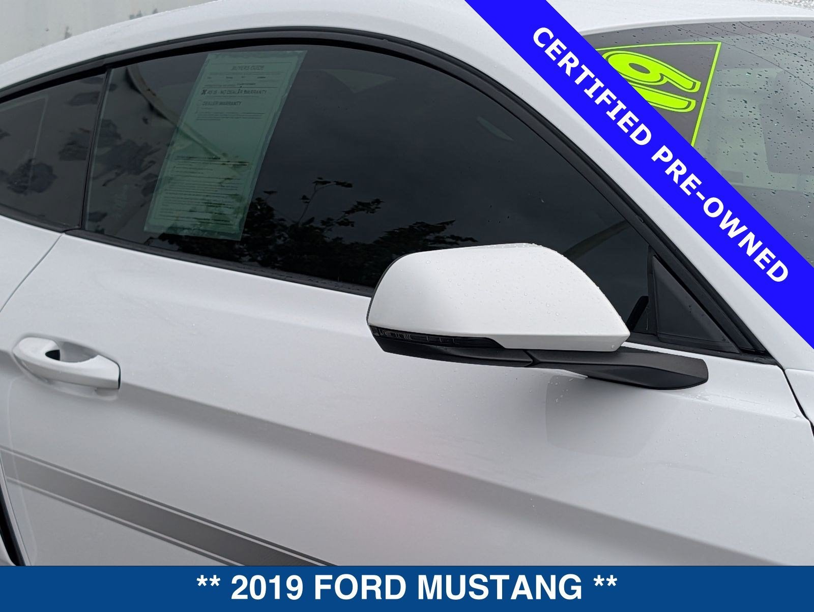 2019 Ford Mustang GT Premium