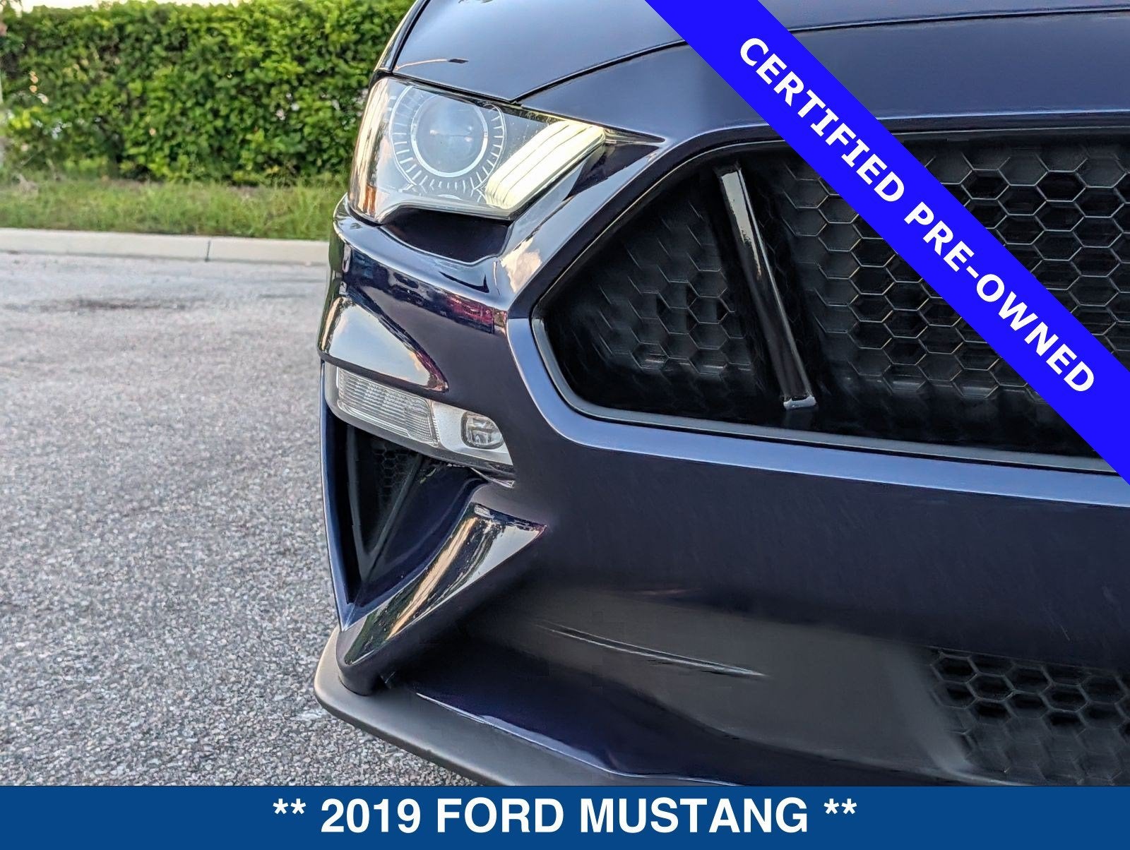 2019 Ford Mustang GT Premium