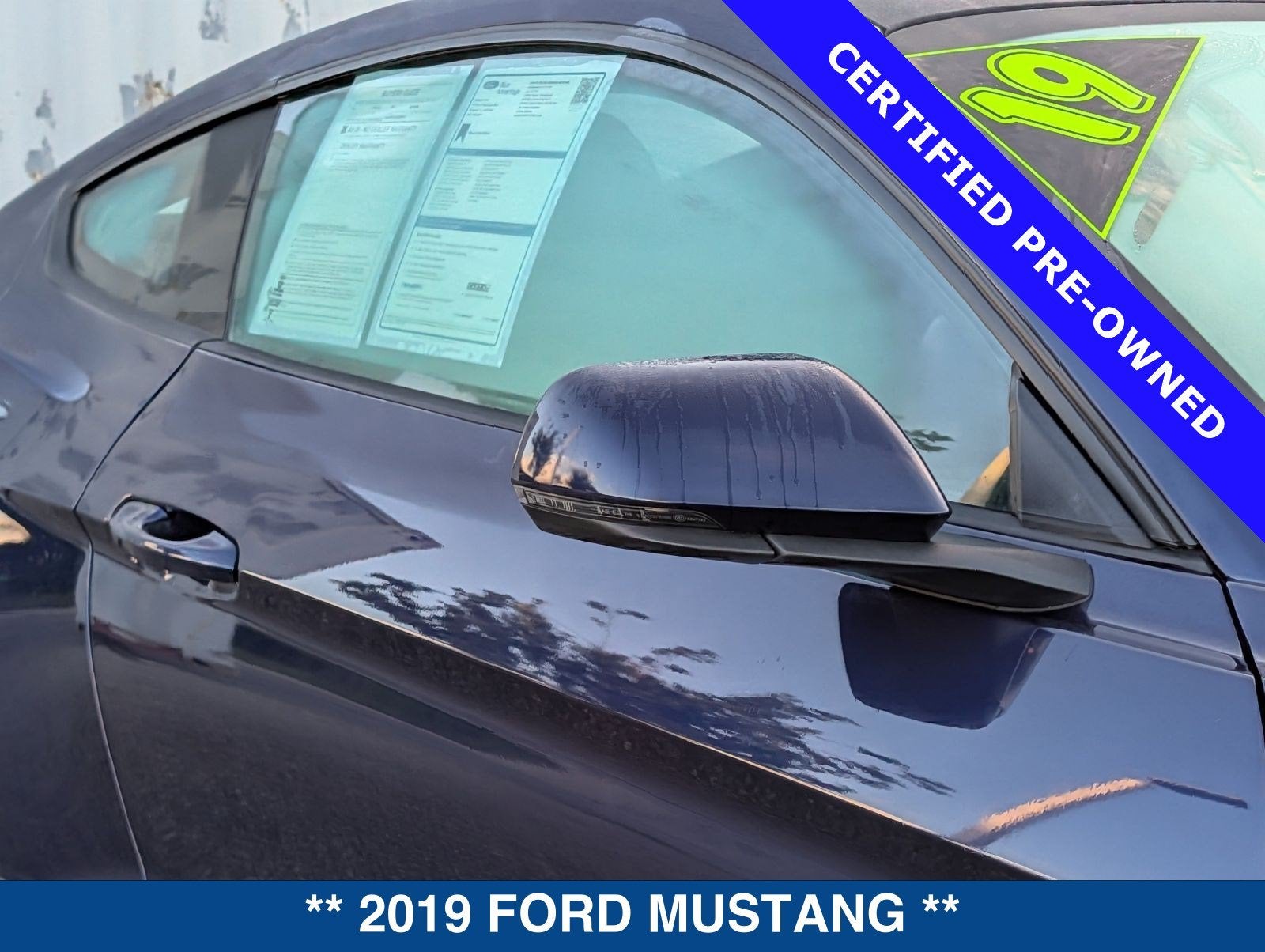 2019 Ford Mustang GT Premium