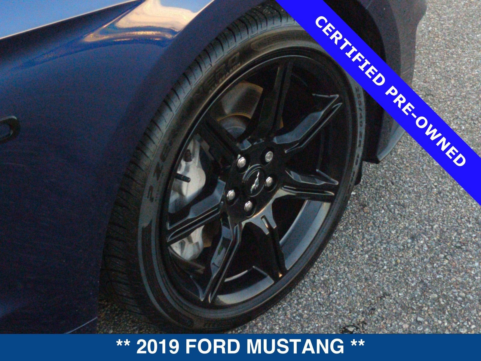 2019 Ford Mustang GT Premium