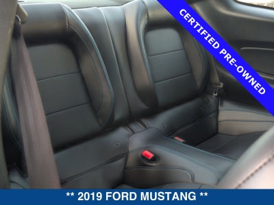 2019 Ford Mustang GT Premium