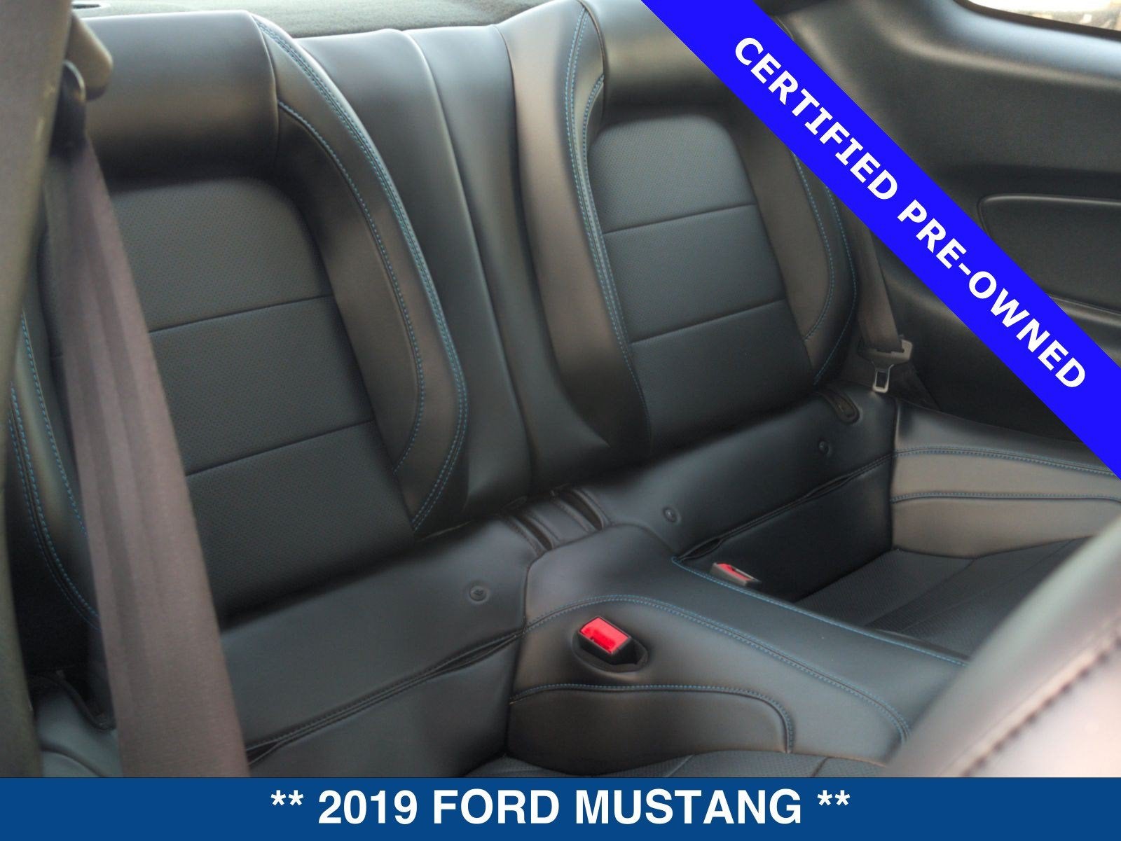 2019 Ford Mustang GT Premium