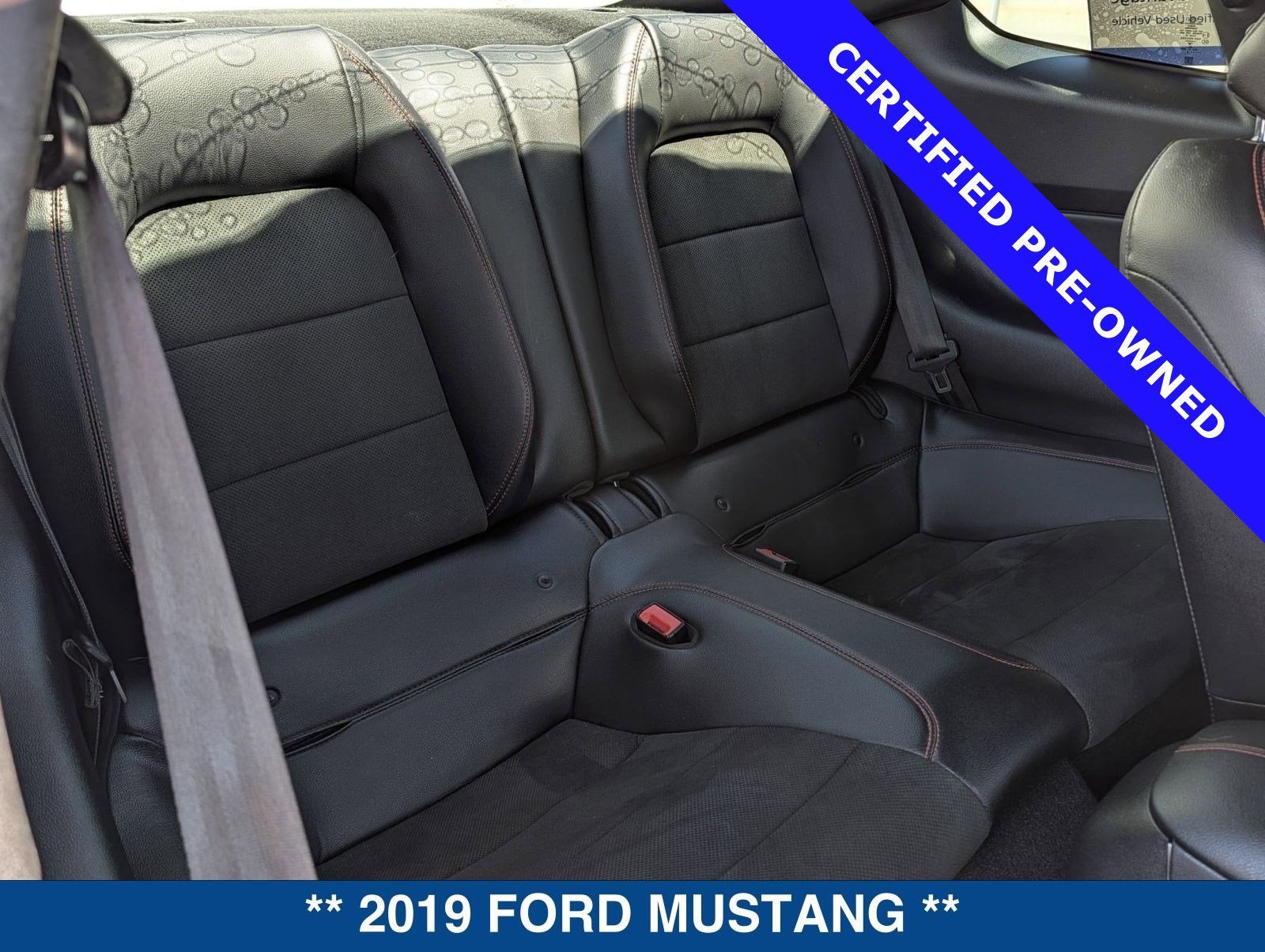 2019 Ford Mustang GT Premium