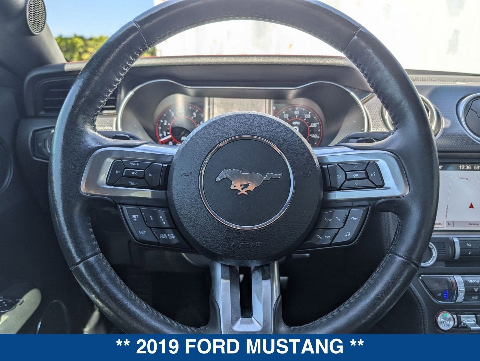 2019 Ford Mustang GT Premium
