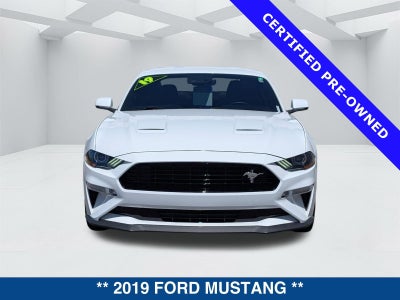 2019 Ford Mustang GT Premium