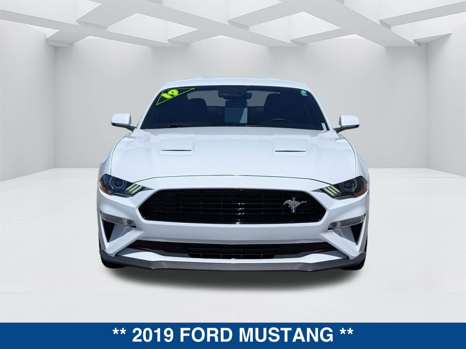 2019 Ford Mustang GT Premium