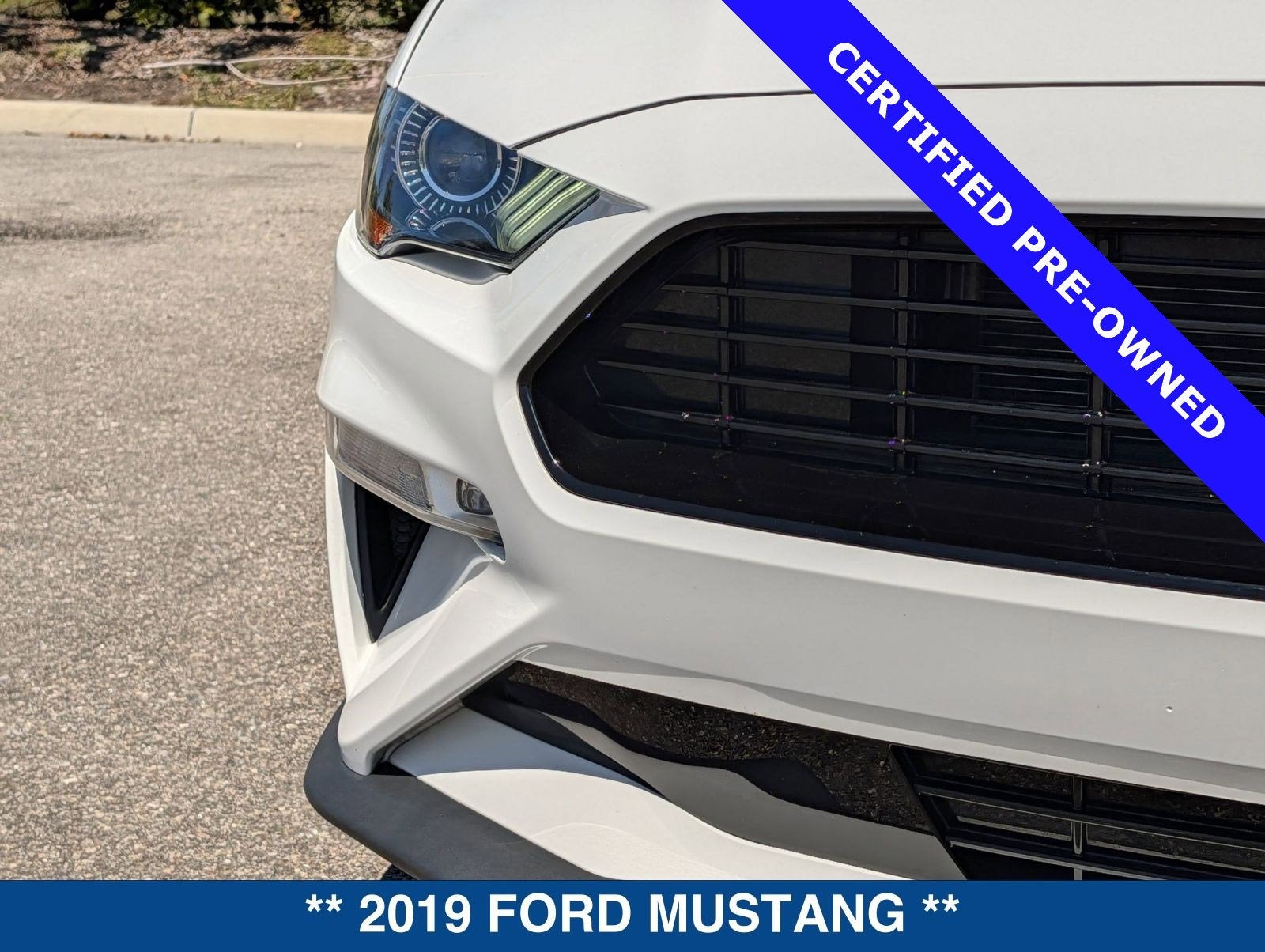 2019 Ford Mustang GT Premium