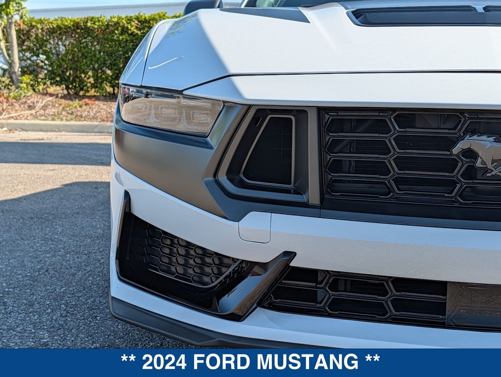 2024 Ford Mustang Dark Horse