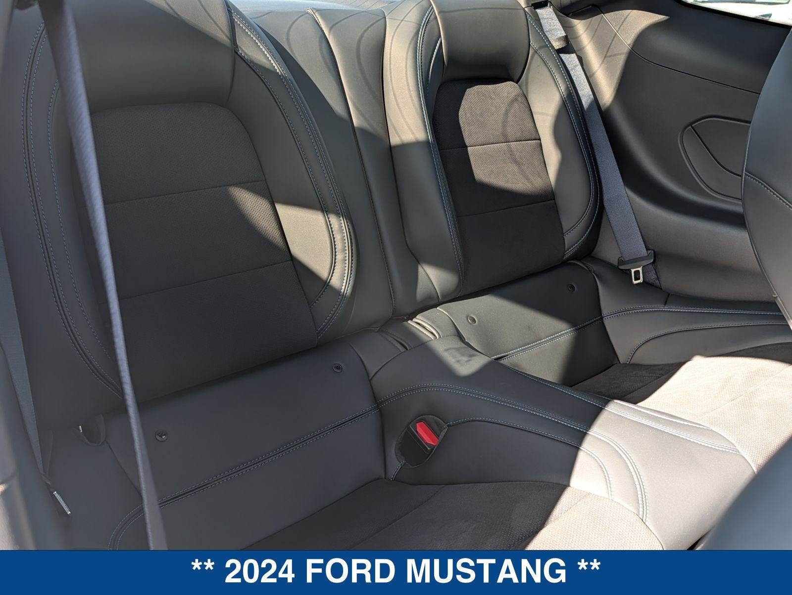 2024 Ford Mustang Dark Horse