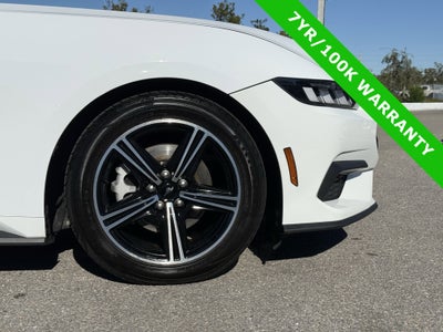 2024 Ford Mustang EcoBoost Premium