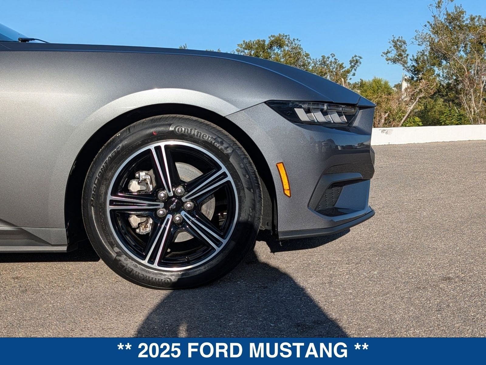 2025 Ford Mustang EcoBoost