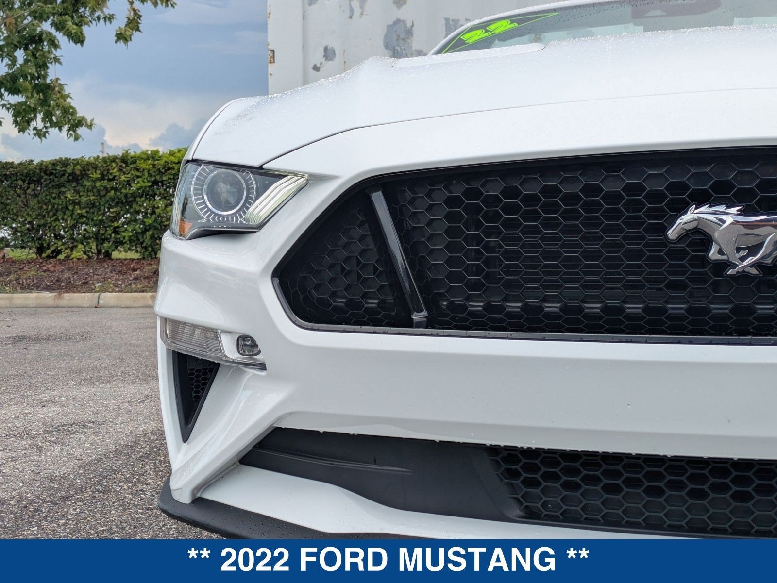 2022 Ford Mustang GT Premium