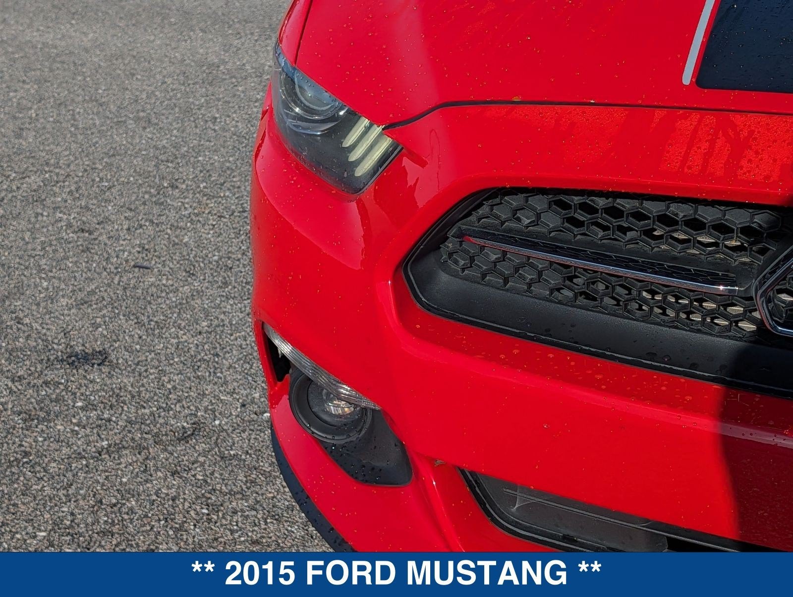2015 Ford Mustang GT Premium