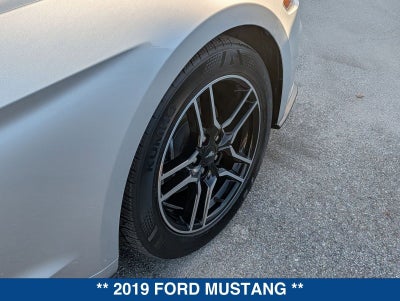 2019 Ford Mustang EcoBoost Premium