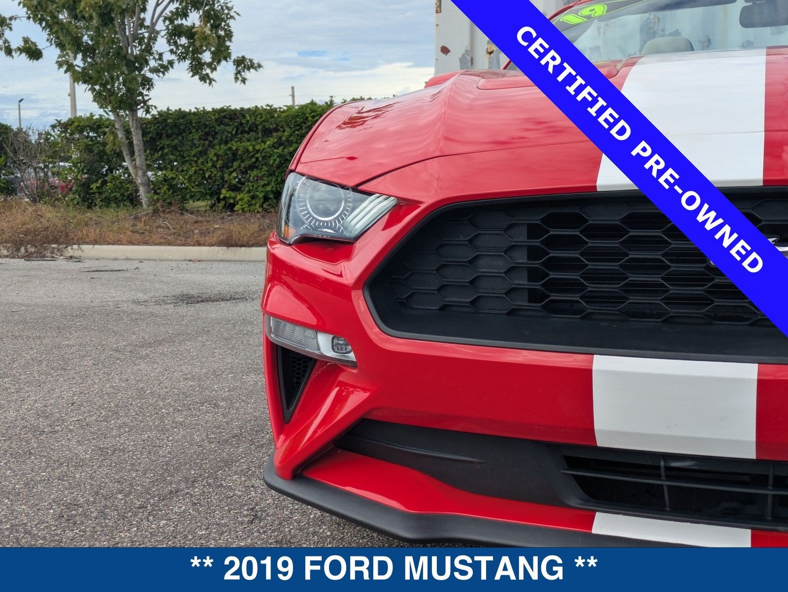 2019 Ford Mustang EcoBoost Premium