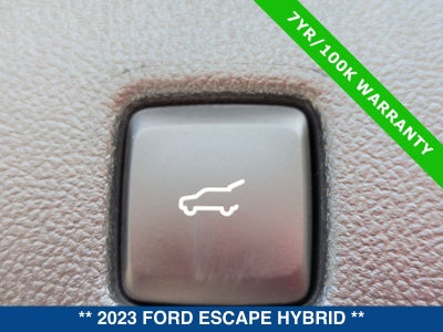 2023 Ford Escape ST-Line