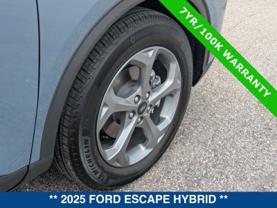 2025 Ford Escape ST-Line