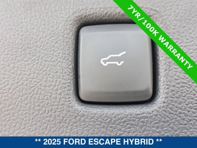 2025 Ford Escape ST-Line