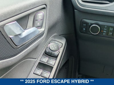 2025 Ford Escape ST-Line