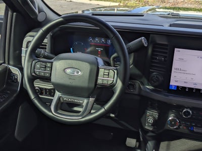 2025 Ford F-350 Platinum