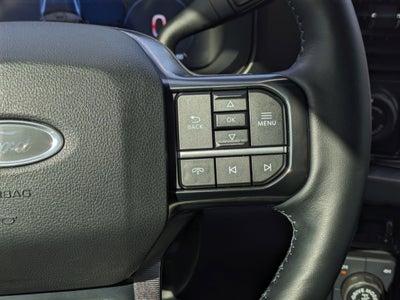 2025 Ford F-350 Platinum