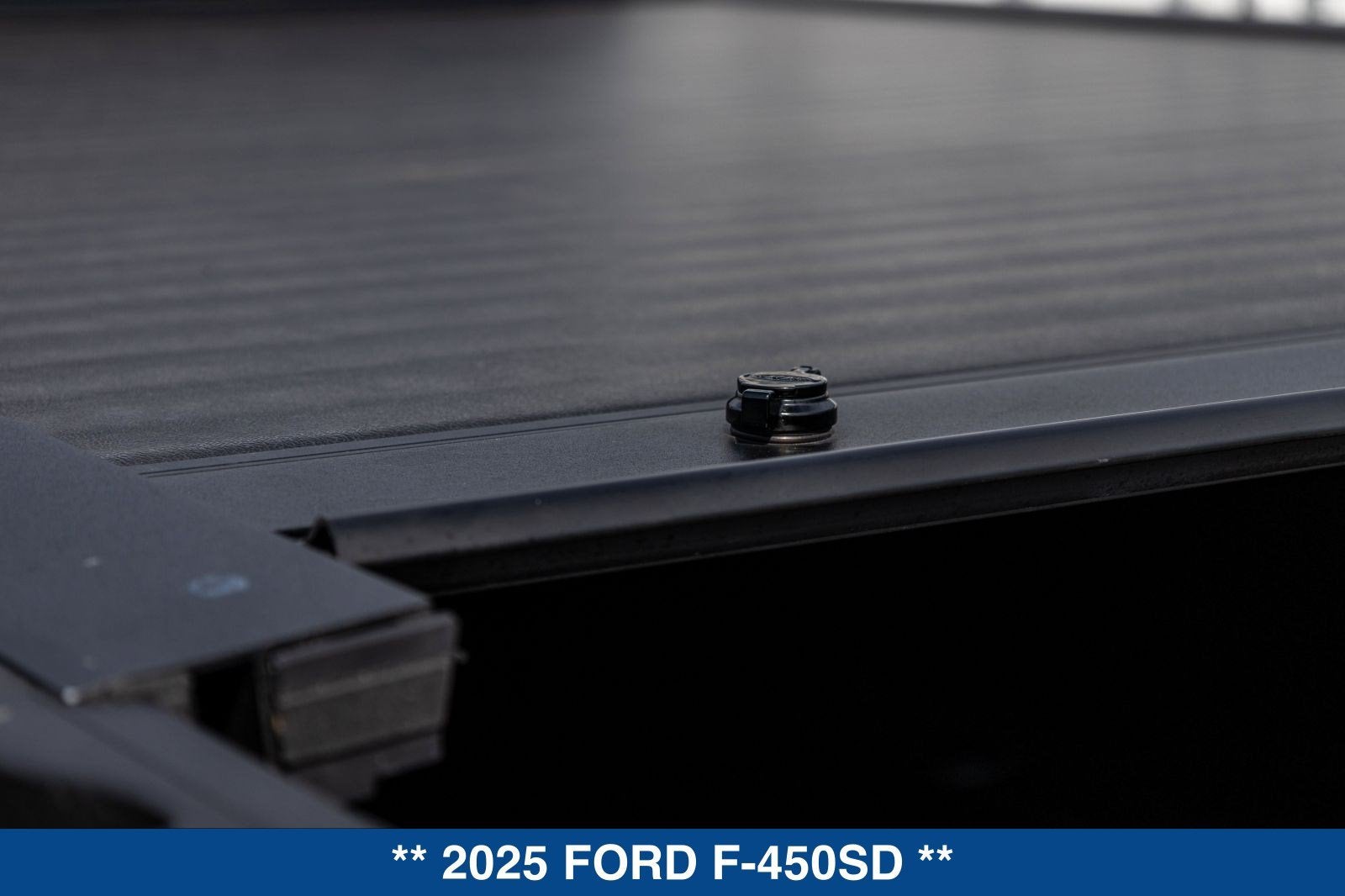 2025 Ford F-450 Platinum DRW