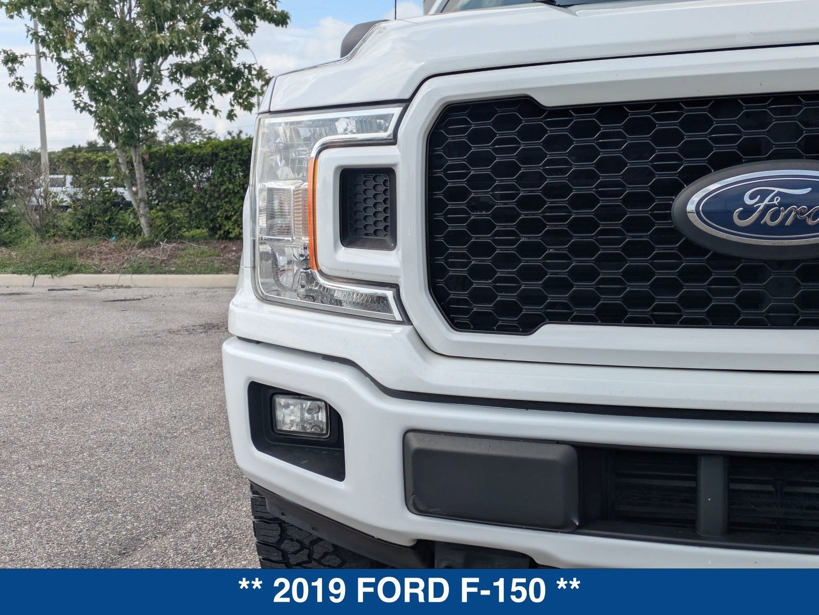 2019 Ford F-150 XL