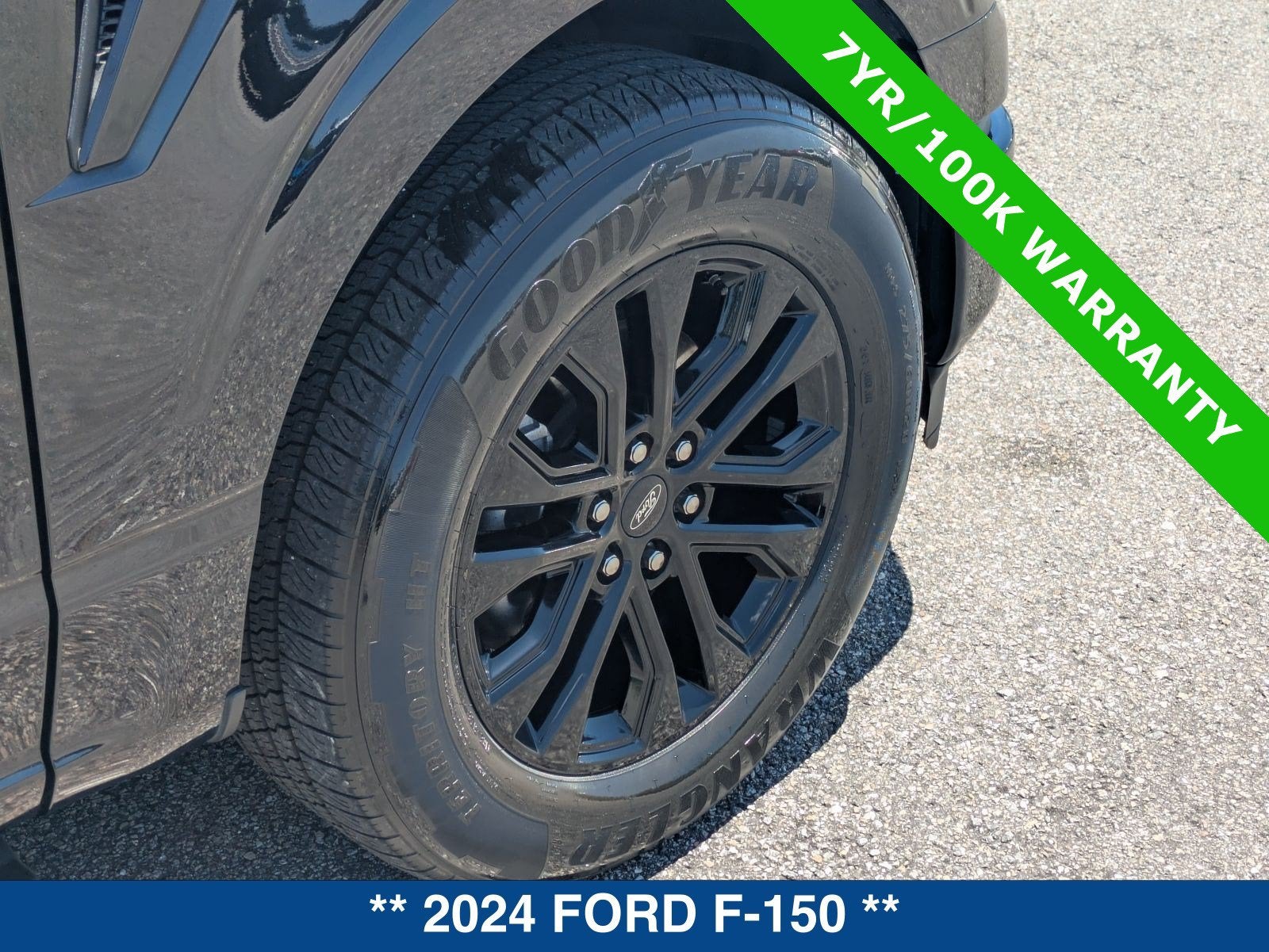 2024 Ford F-150 XLT