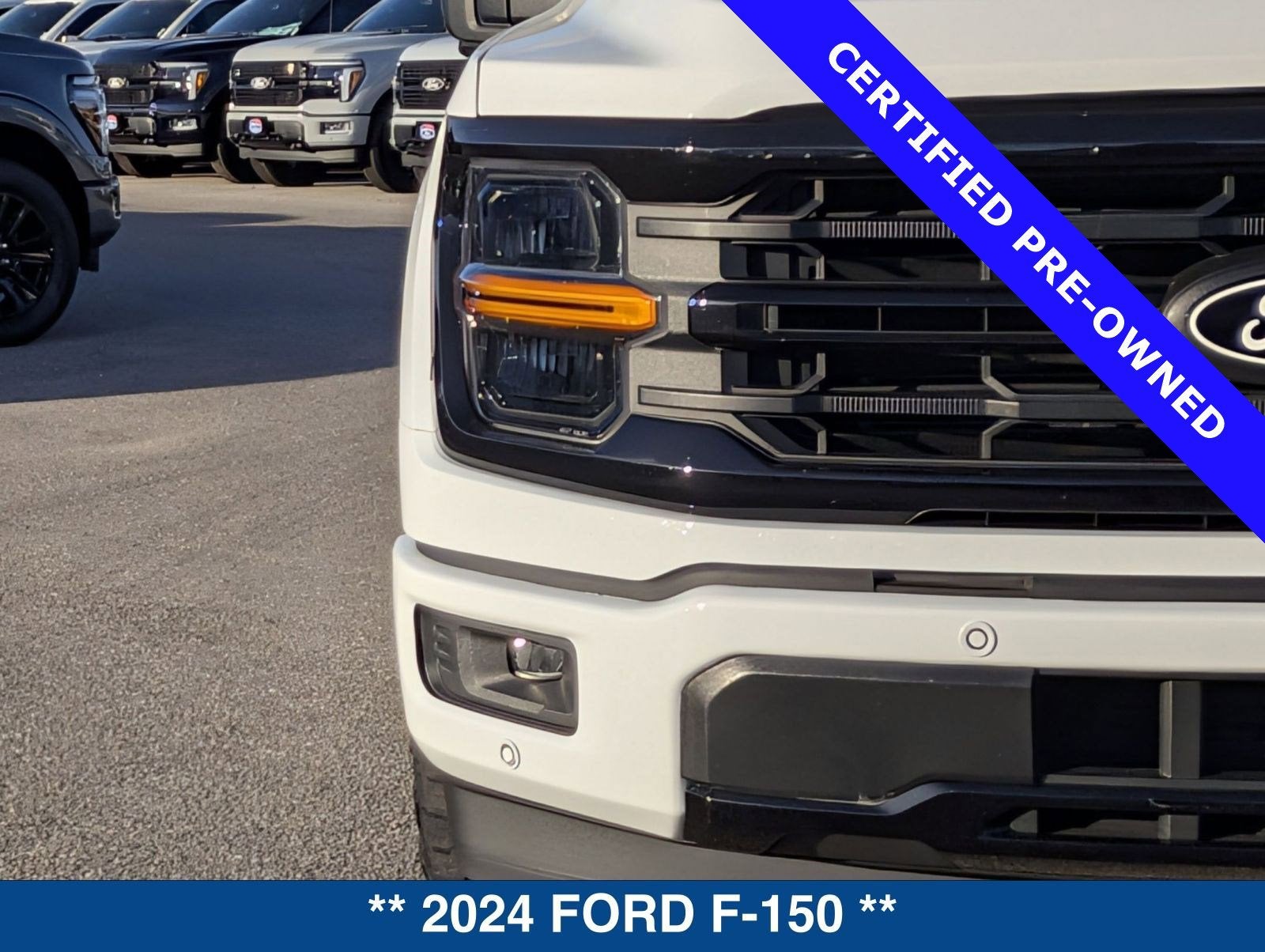 2024 Ford F-150 XLT