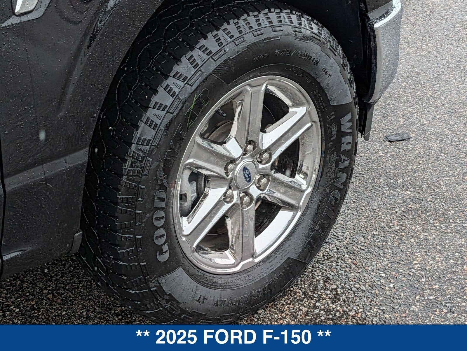 2025 Ford F-150 XLT