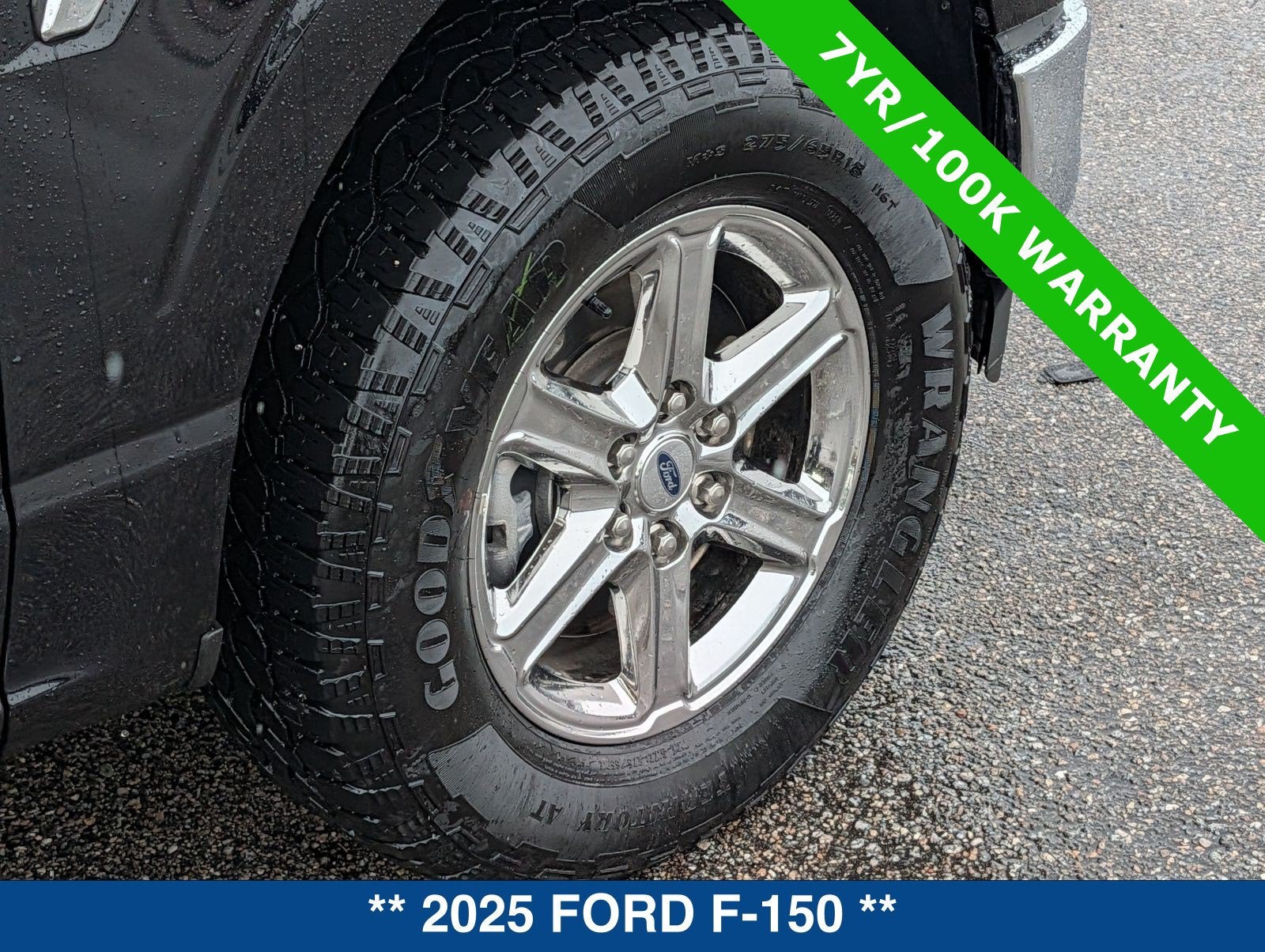 2025 Ford F-150 XLT