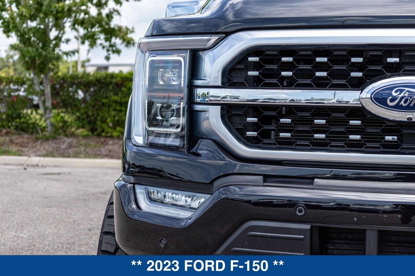 2023 Ford F-150 Platinum
