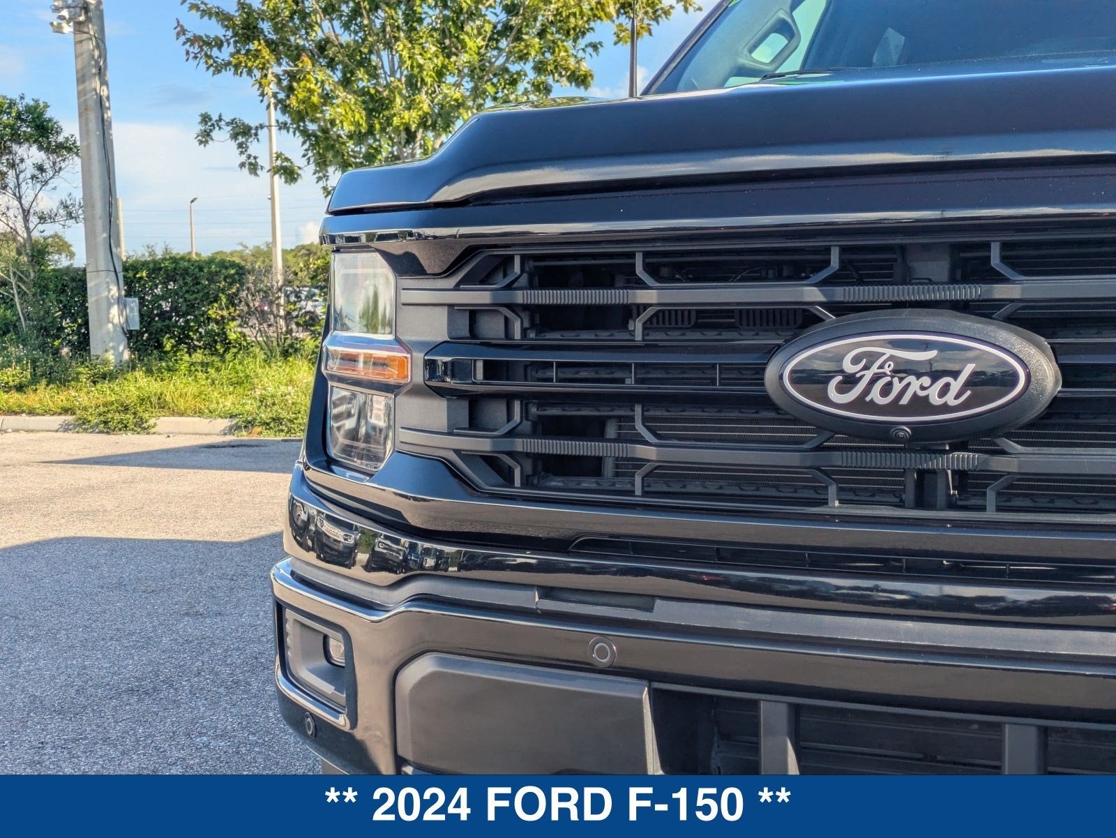 2024 Ford F-150 XLT