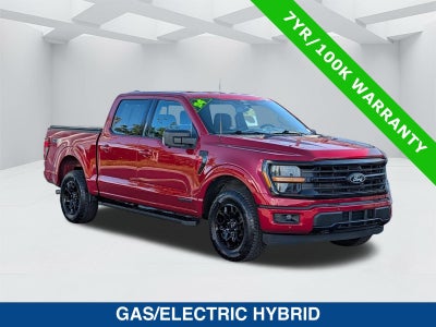 2024 Ford F-150 XLT