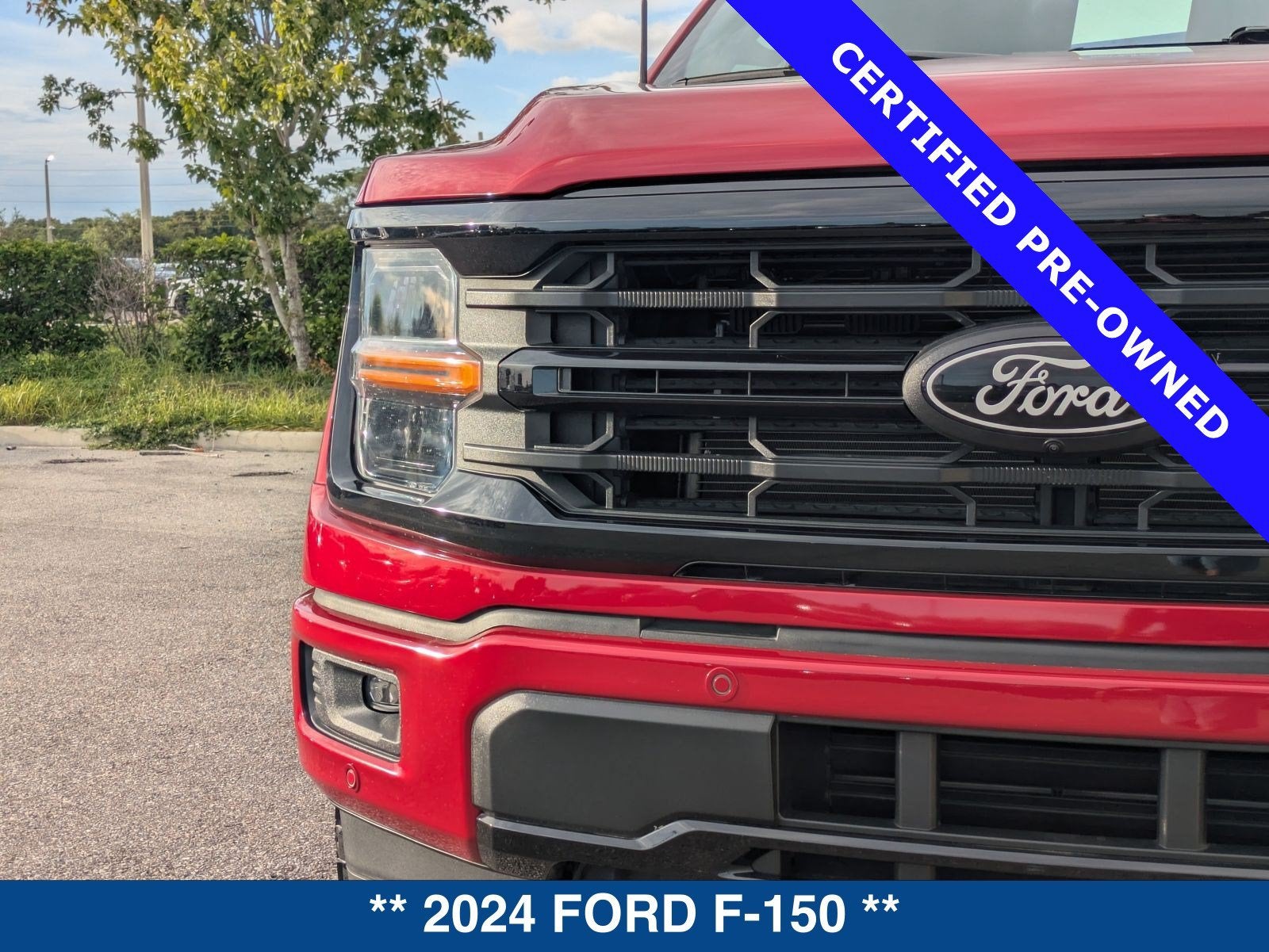 2024 Ford F-150 XLT