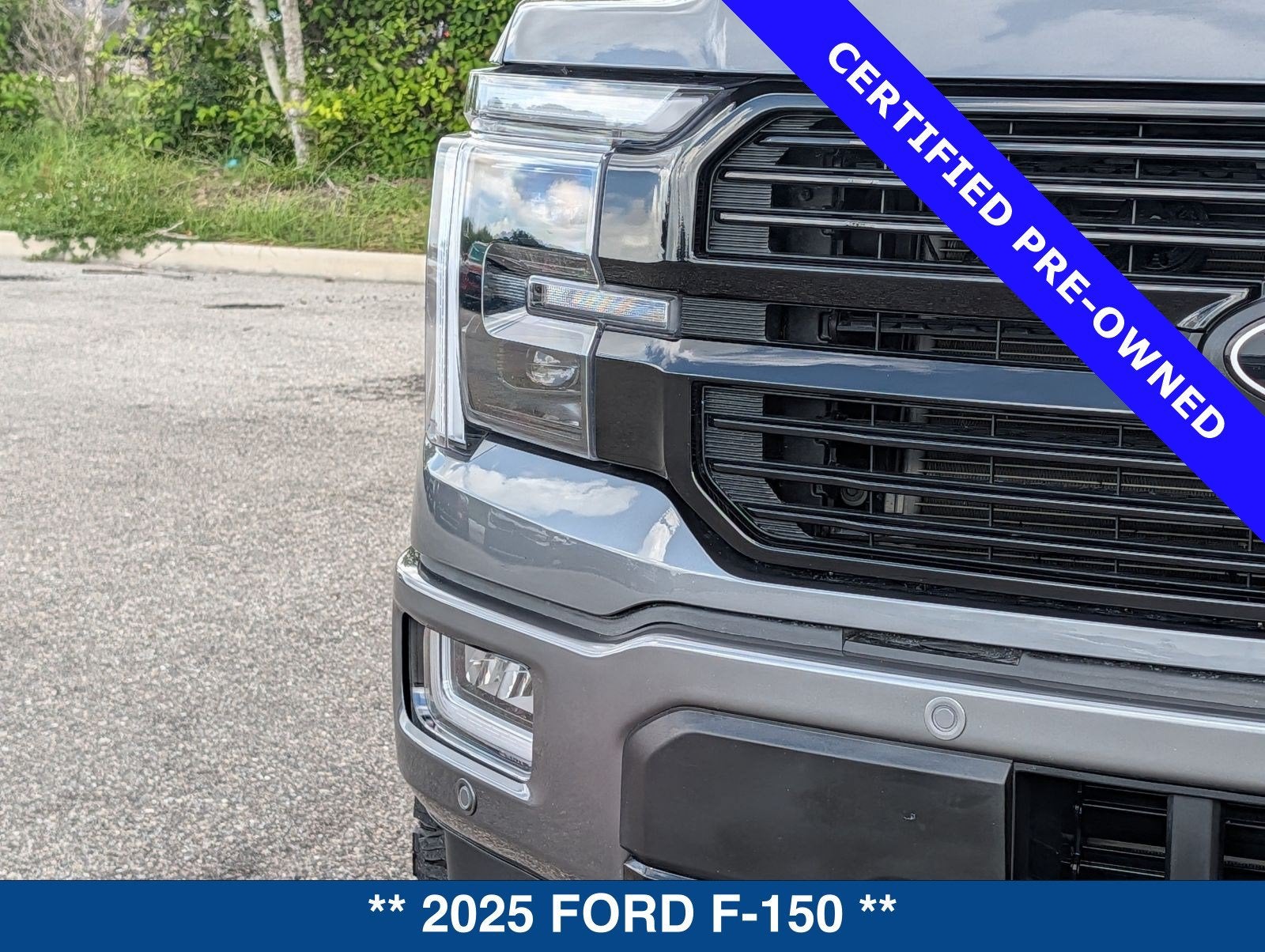 2025 Ford F-150 Platinum