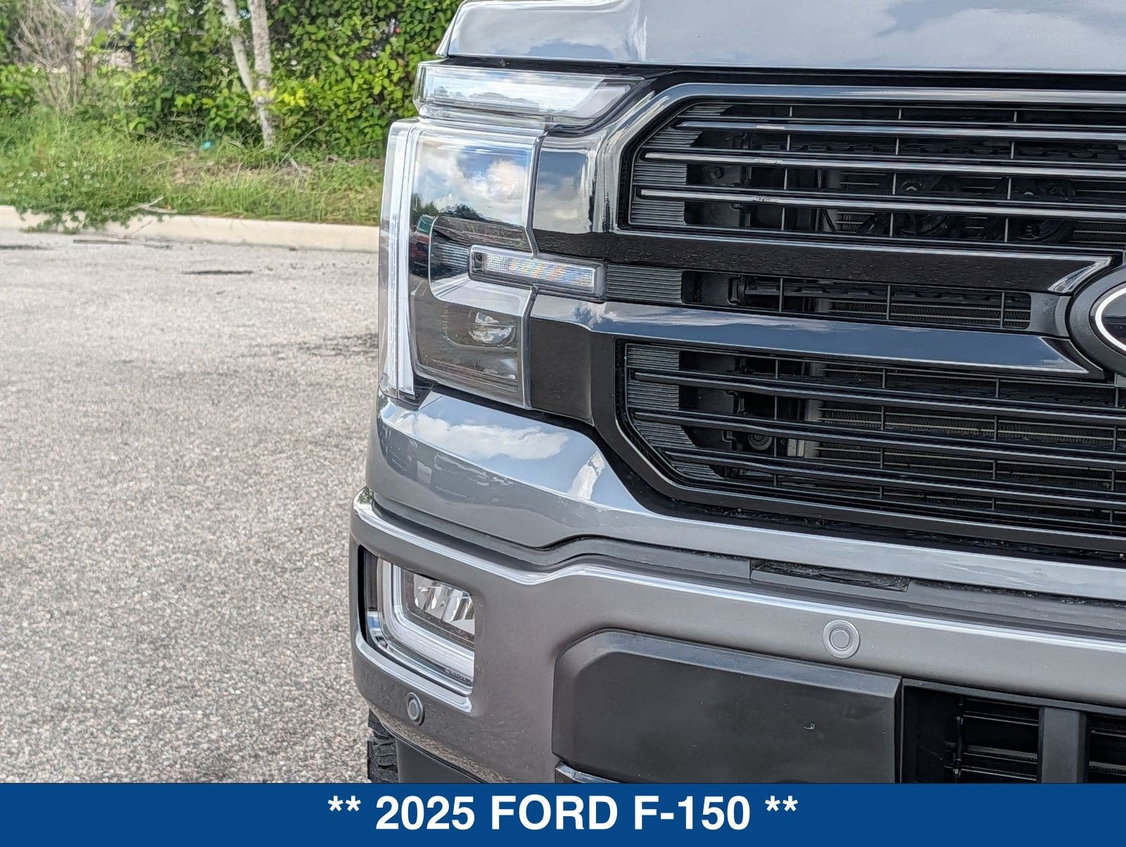 2025 Ford F-150 Platinum