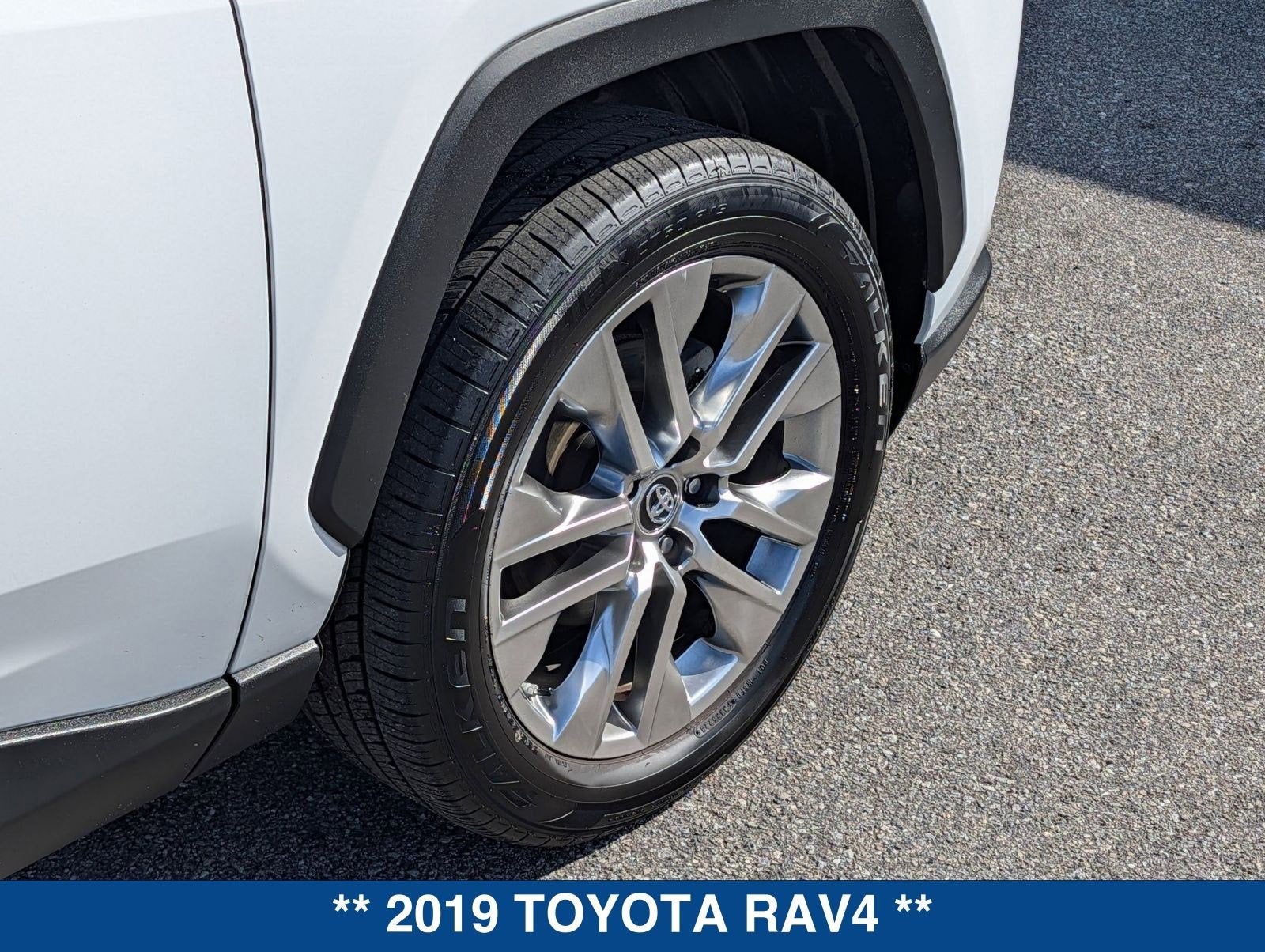 2019 Toyota RAV4 XLE Premium