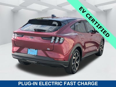 2025 Ford Mustang Mach-E Select
