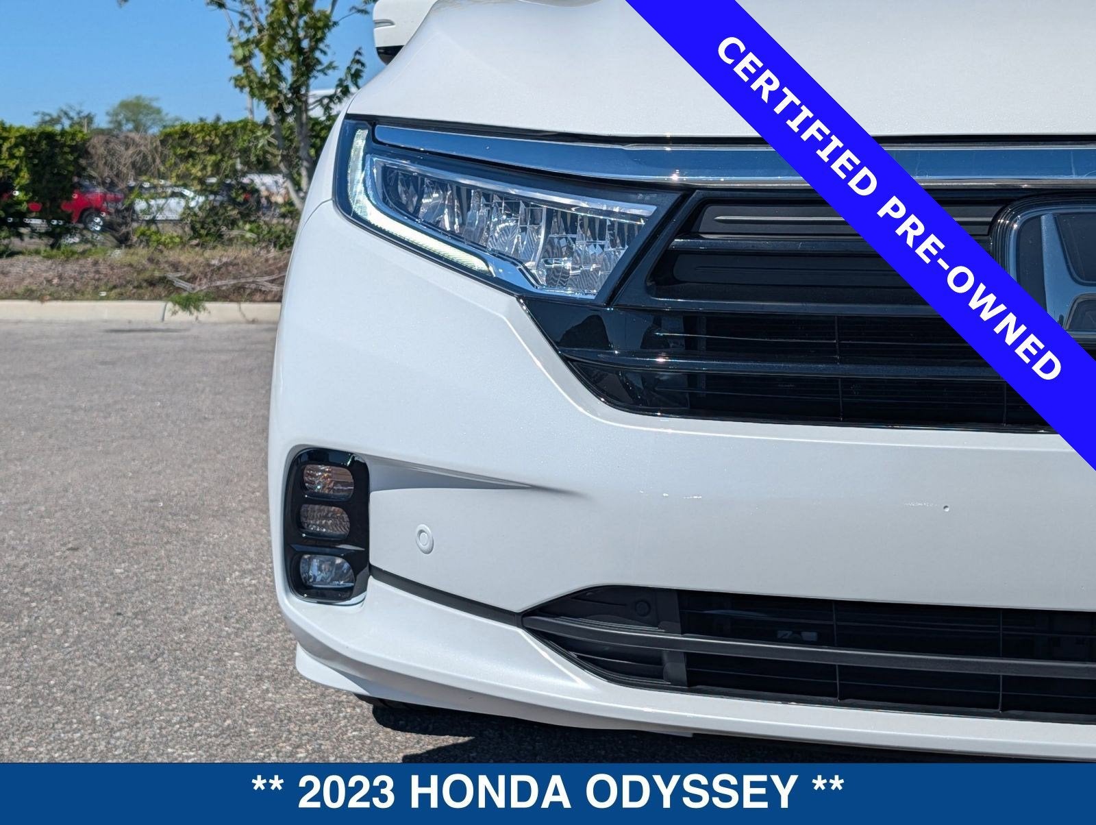2023 Honda Odyssey Elite
