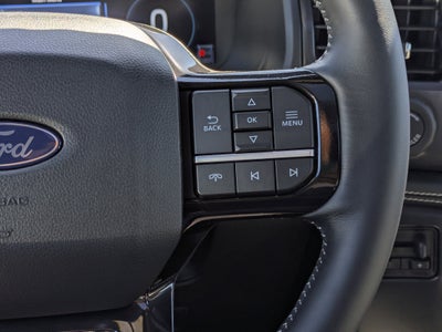 2025 Ford F-150 Lightning Platinum