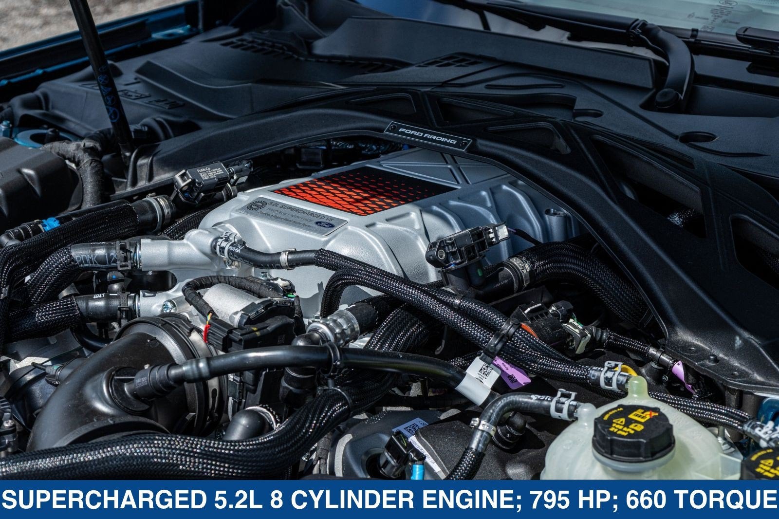 2026 Ford Mustang Dark Horse
