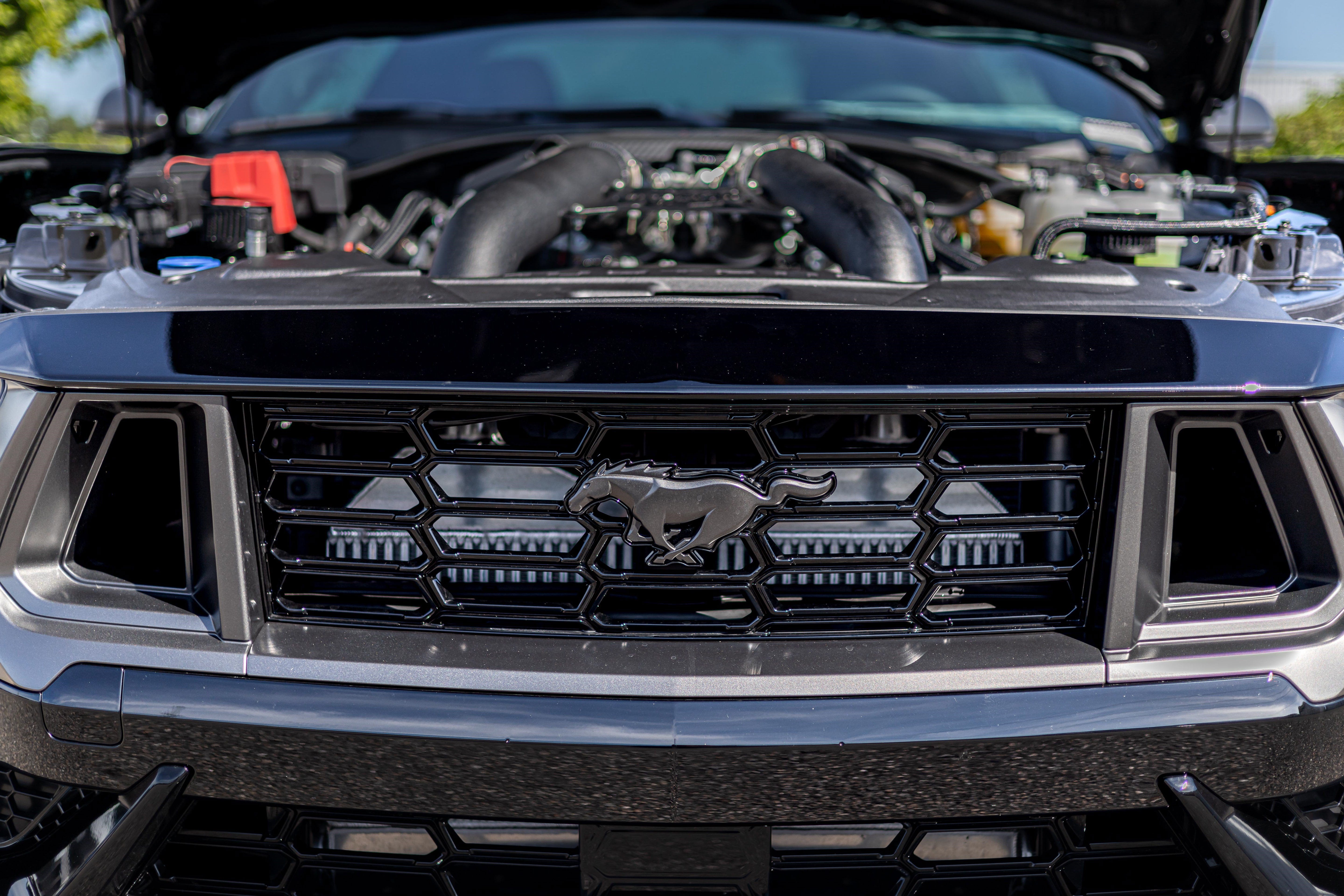 2026 Ford Mustang Dark Horse