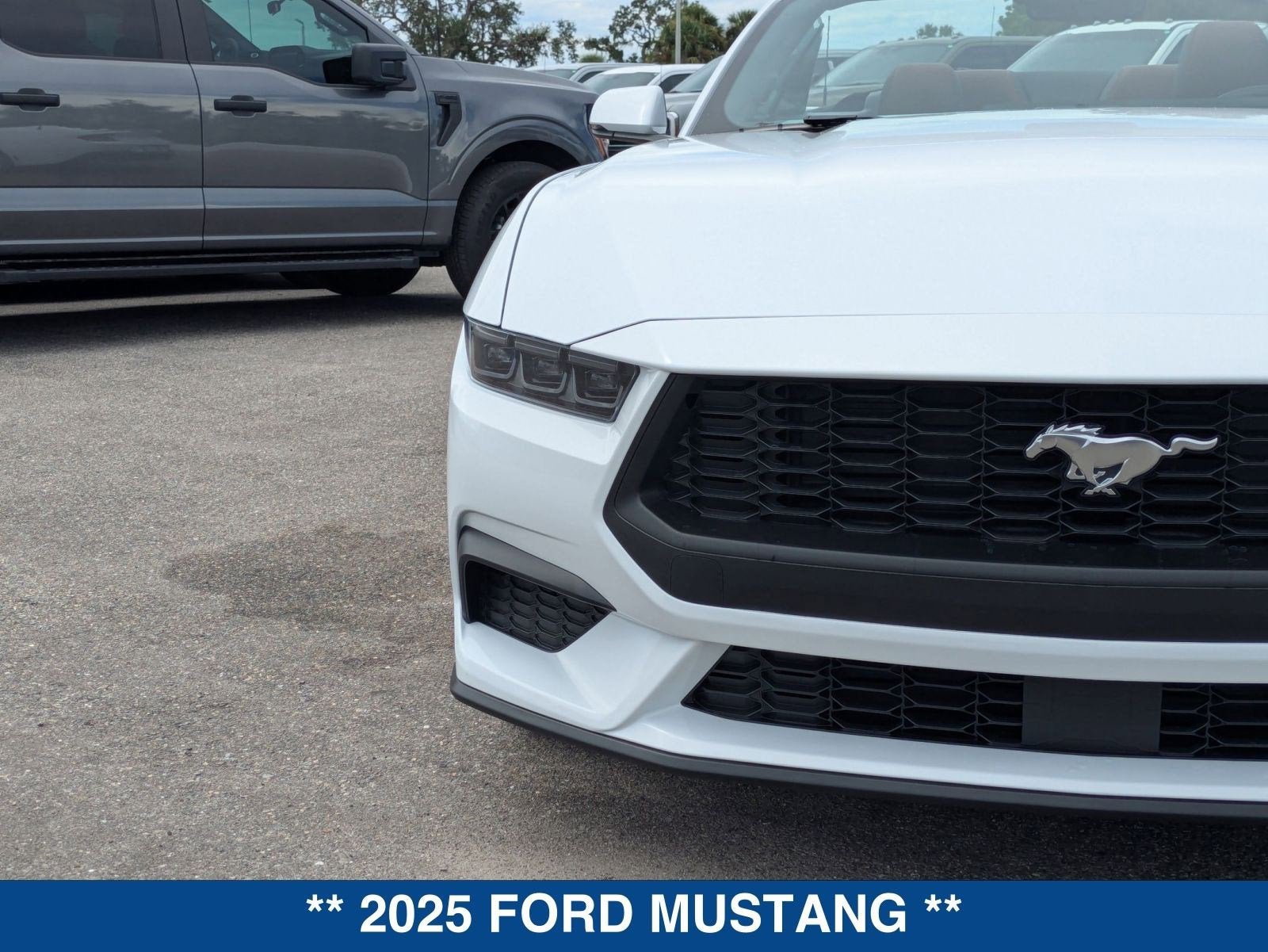2025 Ford Mustang EcoBoost Premium