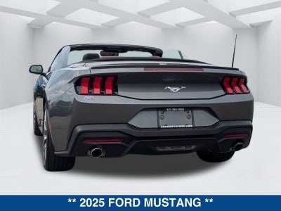 2025 Ford Mustang EcoBoost Premium