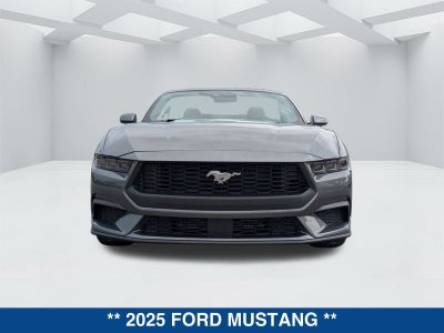 2025 Ford Mustang EcoBoost Premium