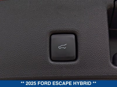 2025 Ford Escape Hybrid ST-Line