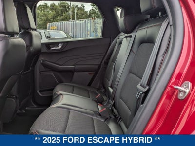 2025 Ford Escape Hybrid ST-Line