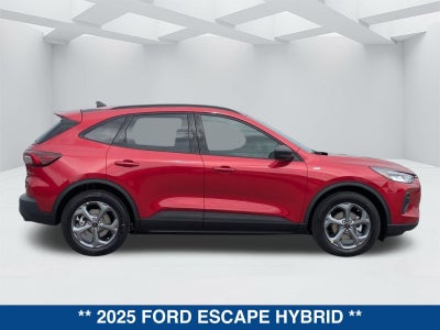2025 Ford Escape Hybrid ST-Line