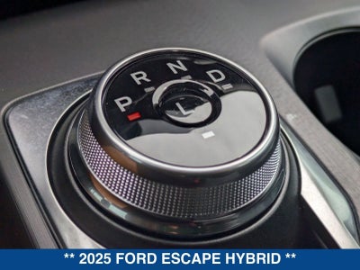 2025 Ford Escape Hybrid ST-Line
